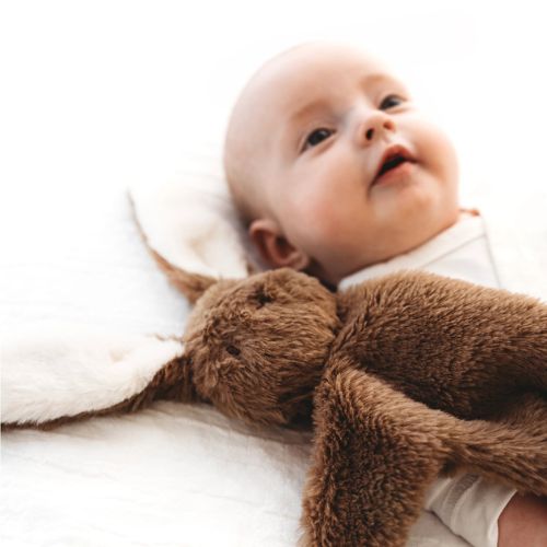 Brown Bunny Snuggle Bear