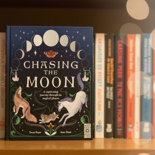 Chasing The Moon