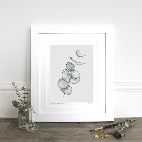 Eucalyptus 10×12″ Mounted Fine Art Print