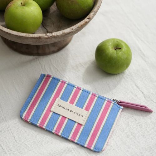 Blue Stripe Card Purse