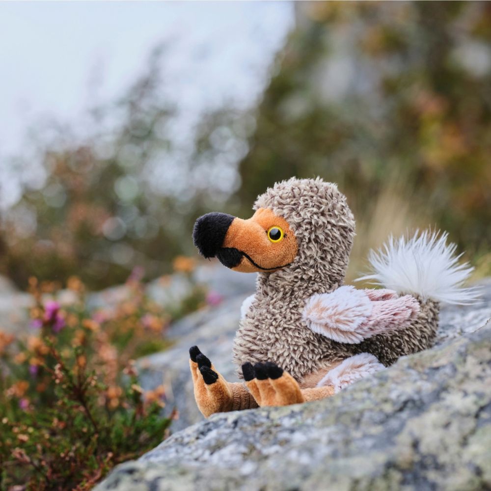 Dodo Soft Toy