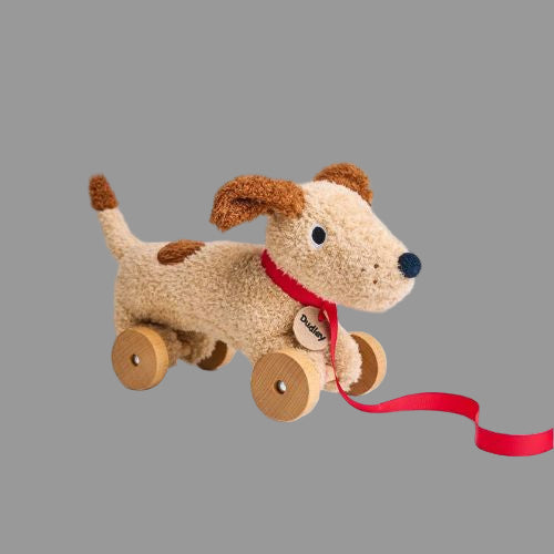 Dudley Pull Along Dog