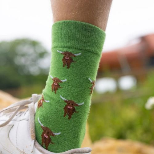 Bamboo Socks - Highland Cow