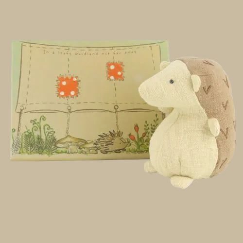 Cuddles The Hedgehog in Tent Box